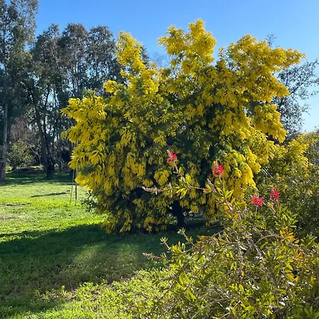 فندق مبيت وإفطار D'hotes 