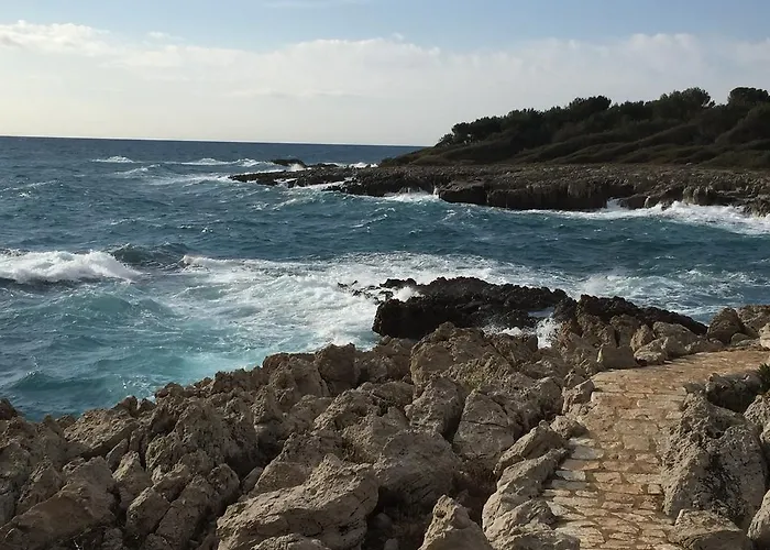 D'hôtes La Bastide Des Eucalyptus 3* Antibes