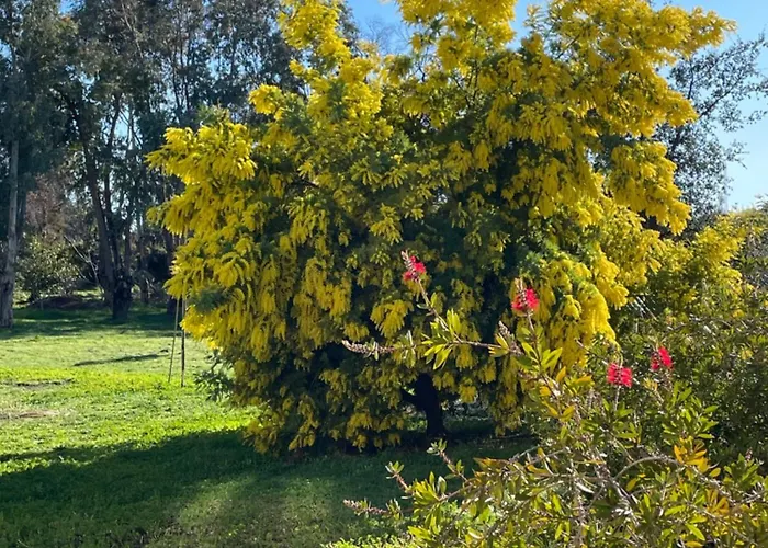 Frühstückspension D'hotes 